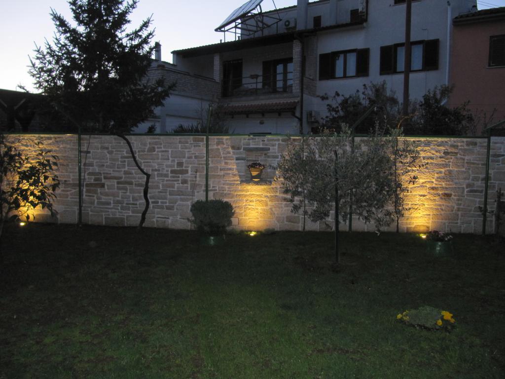 Holiday House Arena